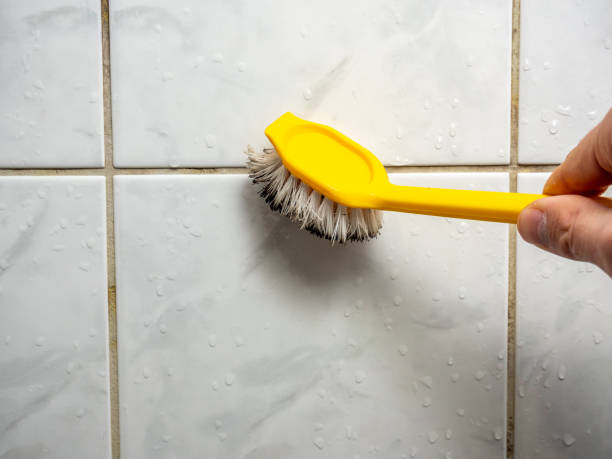 Certified Mold Removal in Watchung, NJ