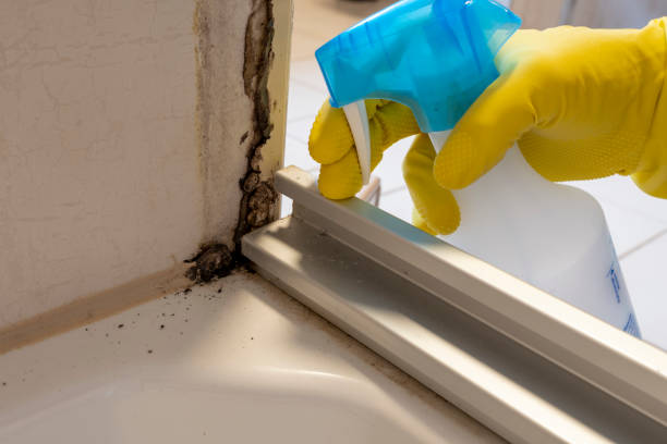 Crawl Space Mold Removal in Watchung, NJ