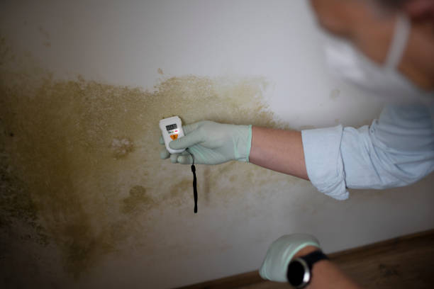 Best Residential Mold Removal  in Watchung, NJ